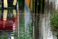 Ilustrasi Banjir (unsplash)