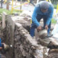 Optimalisasi Saluran Air di Pluit Permai Raya Demi Cegah Genangan (PPID Jakarta)