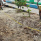 Sudin PPKUKM Kepulauan Seribu Rencanakan Pembangunan Loksem di Pulau Kelapa (PPID Jakarta)