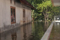 Bahaya Bermain di Air Banjir, Risiko Penyakit dan Cara Mencegahnya (Istock)