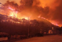 Korea Selatan Dilanda Kebakaran Hutan Hebat, Kuil Bersejarah Gounsa Hangus Terbakar (Yonhap)