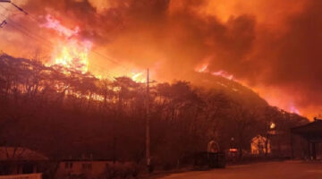 Korea Selatan Dilanda Kebakaran Hutan Hebat, Kuil Bersejarah Gounsa Hangus Terbakar (Yonhap)