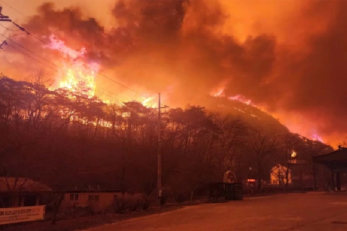 Korea Selatan Dilanda Kebakaran Hutan Hebat, Kuil Bersejarah Gounsa Hangus Terbakar (Yonhap)