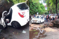 Pohon Tumbang di Jalan Raya Kuta Badung, Seorang Ibu Meninggal dan Anaknya Selamat