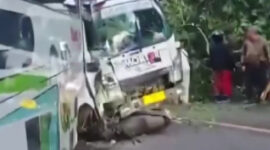 Tabrakan Beruntun di Cianjur-Cipanas, Kemacetan Tak Terhindarkan (dok @mrprogress_25)