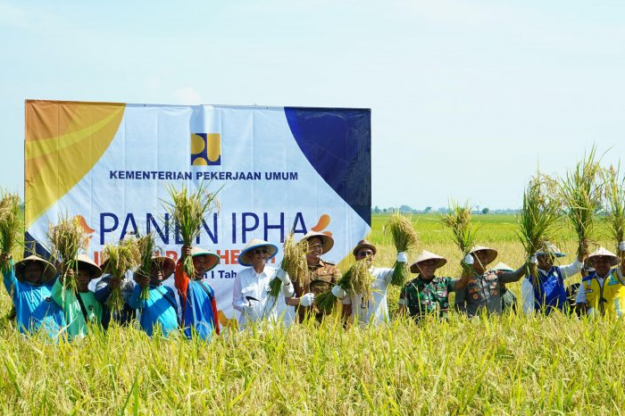 Panen Perdana Metode IPHA di Indramayu Sukses Hasilkan 11 Ton per Hektare, Hemat Air dan Biaya Produksi (Dikominfo Indramayu)