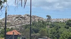 Sampah di Denpasar Tembus 1.000 Ton Per Hari, DLHK Ajak Warga Lakukan Pemilahan dari Rumah