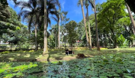Jakarta Selatan: Destinasi Wisata Terpopuler Awal Tahun 2025