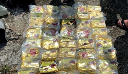Polisi Gagalkan Peredaran 50 Kg Sabu Berkedok Teh Cina