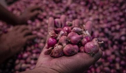 Harga Bahan Pangan Turun Tajam Hari Ini: Cabai Rawit dan Bawang Merah Murah!