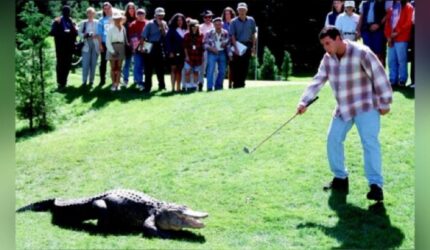 Adam Sandler Ungkap Kesedihan Kehilangan Morris, Buaya Ikonik Happy Gilmore