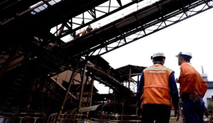 Vale Indonesia Buktikan Komitmen Lestarikan Lahan Pascatambang Secara Berkelanjutan