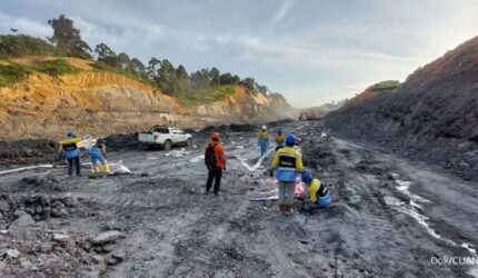 Saham Petrindo Jaya Kreasi