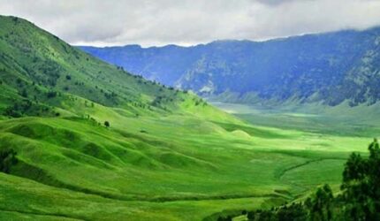 Pesona Sabana Hijau Indonesia: Destinasi Wisata Alam yang Menyegarkan Mata
