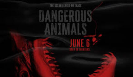 Serangan Hiu Mematikan: Sinopsis Film Dangerous Animals & Petualangan Peselancar