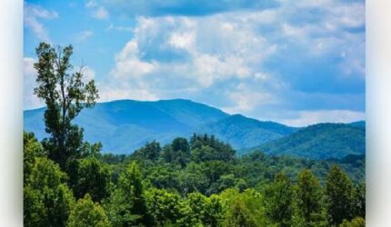 Dollywood Jadi Taman Hiburan Terbaik Pilihan Wisatawan Amerika
