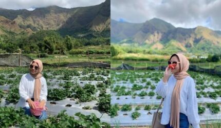 7 Aktivitas Liburan Tak Terlupakan di Sembalun, Lombok