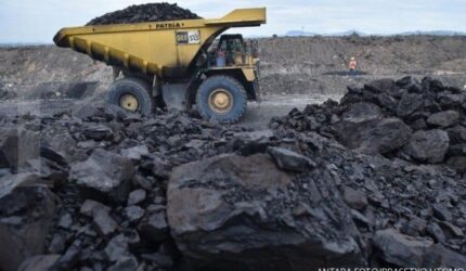 ADRO: Penurunan Pendapatan & Laba Bersih Alamtri Resources Kuartal I 2025