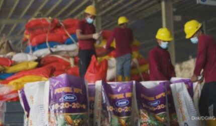 DGWG Tebar Dividen Rp 52,94 Miliar, Cek Jadwal dan Besarannya!