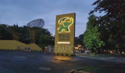 Liburan Hemat: Anak 6 Tahun Gratis Masuk Solo Safari!