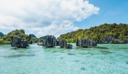 Tambang Nikel Raja Ampat Diselidiki, 4 IUP Dicabut, Ada Apa?