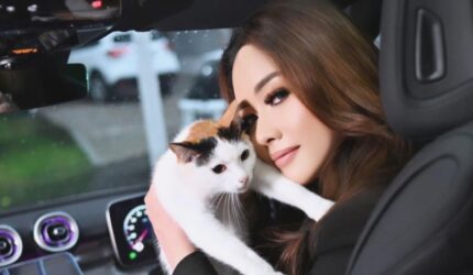 Pulau Kucing Kepulauan Seribu Ditolak, Lirabica Ungkap Alasan!