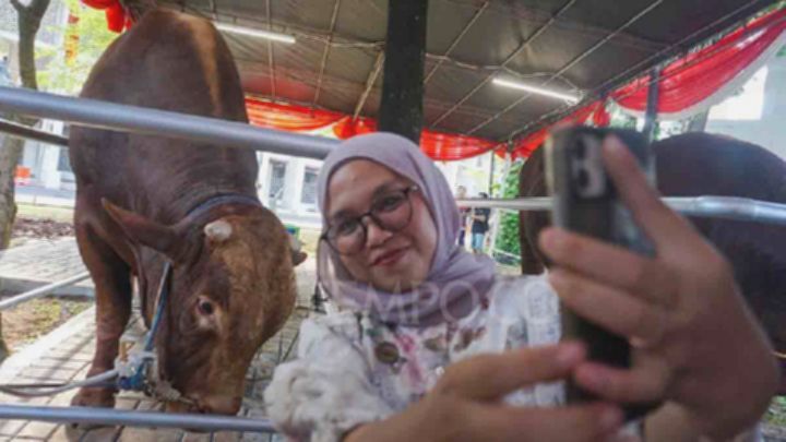 foto slider headline