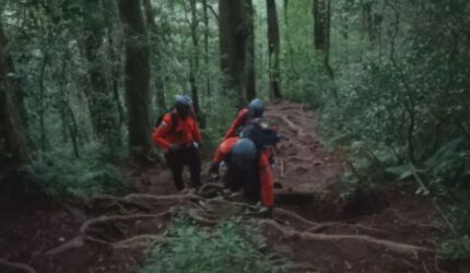 Gunung Batukaru: 4 Pendaki Hilang, Tim SAR Lakukan Pencarian!