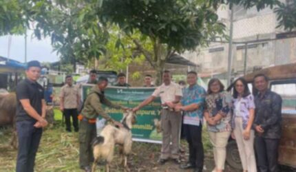 Liburan Sekolah Seru & Idul Adha di Swiss-Belhotel Jayapura!