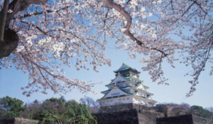 Osaka Castle: 4 Tips Liburan Nyaman & Anti Pegal!
