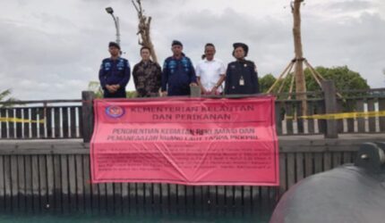 Pulau Pari Gugat PTUN, Ekosistem Laut Rusak Akibat Apa?