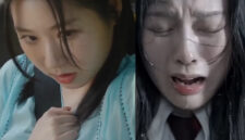 Nonton Selamat Tinggal Saudaraku Drama China Sub Indo