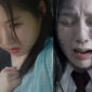Nonton Selamat Tinggal Saudaraku Drama China Sub Indo