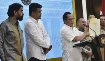 Prabowo Turun Tangan: Sengketa 4 Pulau Aceh-Sumut Memanas, Ada Apa?