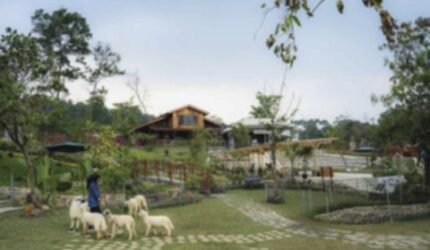 Libur Sekolah di Sentul: Wisata Seru, Belanja Asyik!