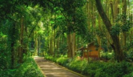 Cianjur Gratis: 4 Wisata Keluarga Hemat, Liburan Jadi Lebih Asyik!