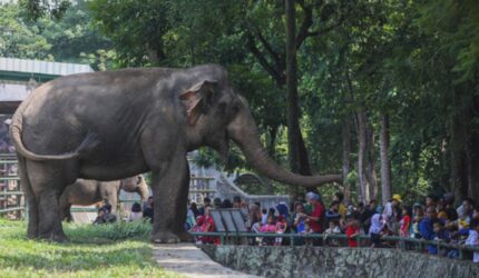 Rekomendasi Destinasi Wisata di Jakarta yang Menarik Dikunjungi saat Libur Sekolah