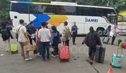 Bogor-Halim Naik Damri, Ini Jadwal & Harga Tiket Terbaru!