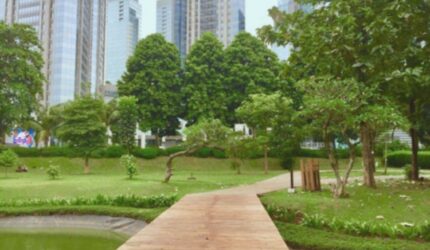 Hutan Kota GBK: 4 Aktivitas Gratis, Piknik Seru di Jakarta!