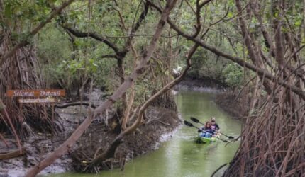 Surabaya Barat: 5 Tempat Piknik Hemat Keluarga, Dijamin Seru!