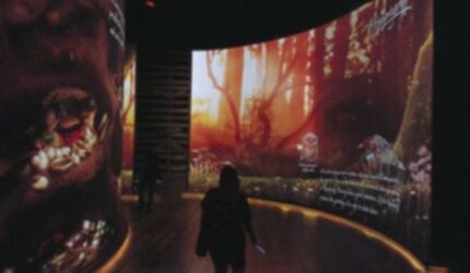 Harry Potter: Visions of Magic, Petualangan Seru di Resorts World Sentosa!