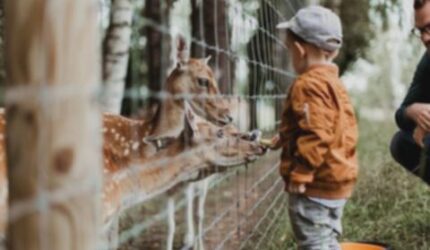 Bali Keluarga: 7 Wisata Anak Seru & Edukatif, Liburan Tak Terlupakan!