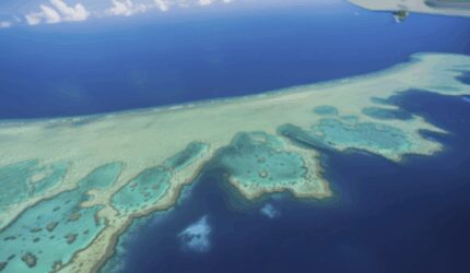 5 Fakta Unik Great Barrier Reef, Surga Laut Terbesar di Dunia