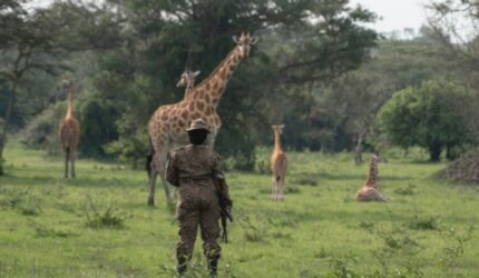Uganda Jadi Destinasi Baru untuk Investasi dan Wisata Alam
