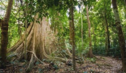 3 Taman Nasional Thailand yang Muncul di Film Jurassic World: Rebirth