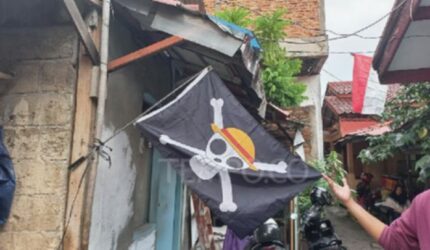 Bendera One Piece Viral: Harga di Marketplace Bikin Penasaran!